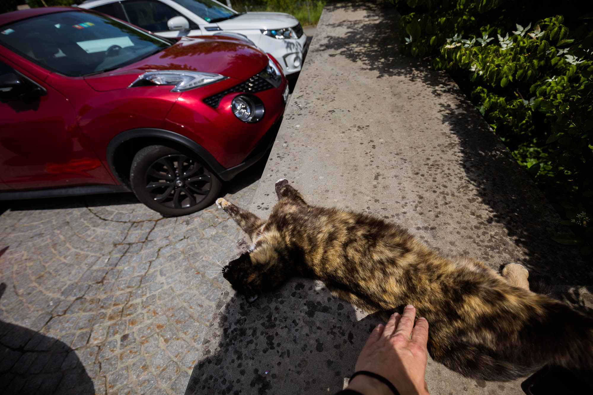 Export x3 5D4 6840 Hochzeit 2021 Jacqueline & Raphael